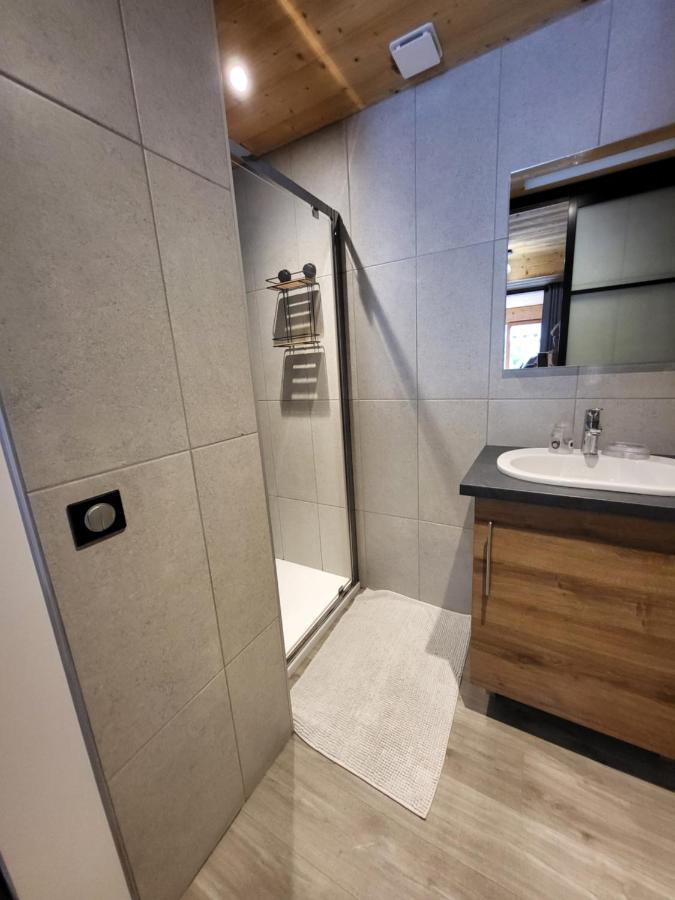 Appartement Cosy Face Aux Aravis ル・グラン・ボルナン エクステリア 写真