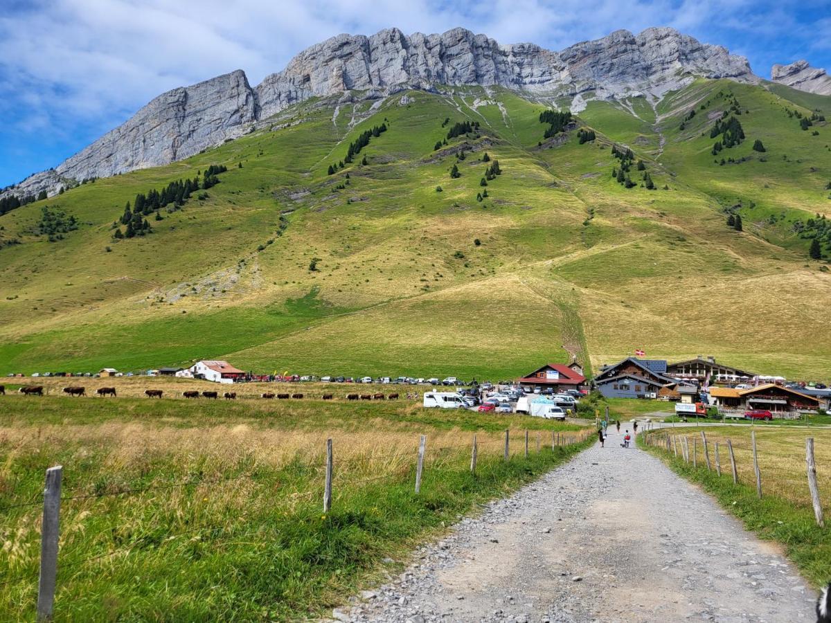Appartement Cosy Face Aux Aravis ル・グラン・ボルナン エクステリア 写真