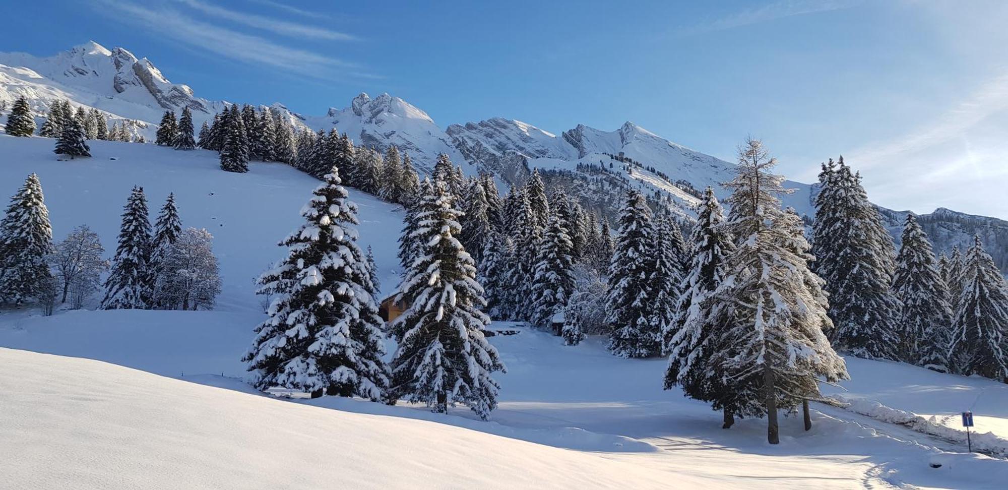 Appartement Cosy Face Aux Aravis ル・グラン・ボルナン エクステリア 写真