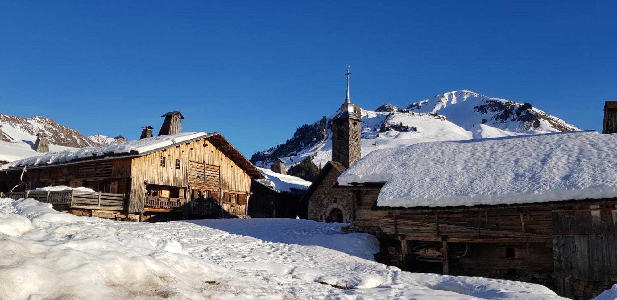 Appartement Cosy Face Aux Aravis ル・グラン・ボルナン エクステリア 写真