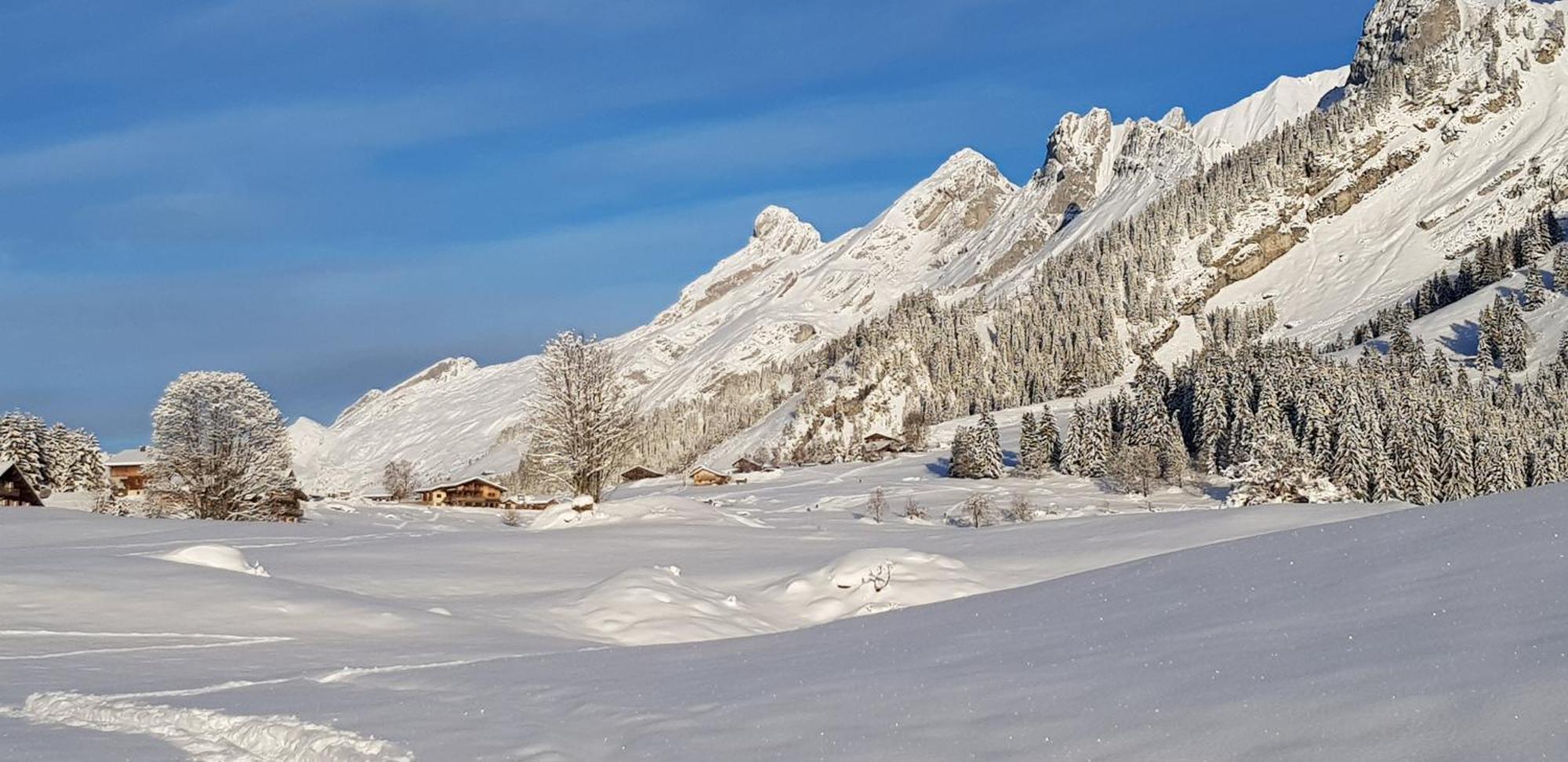 Appartement Cosy Face Aux Aravis ル・グラン・ボルナン エクステリア 写真