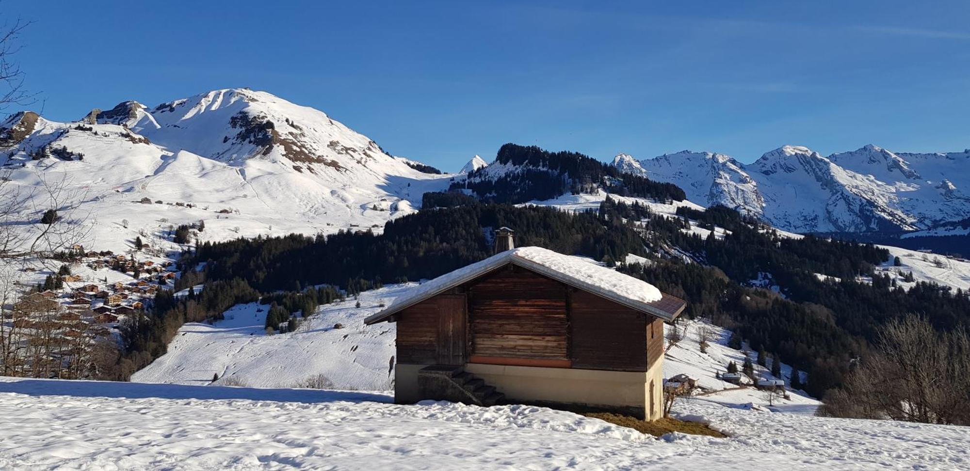 Appartement Cosy Face Aux Aravis ル・グラン・ボルナン エクステリア 写真