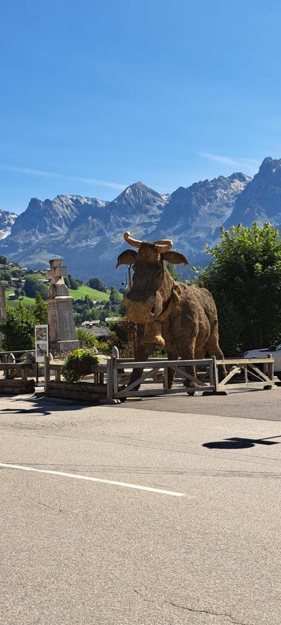 Appartement Cosy Face Aux Aravis ル・グラン・ボルナン エクステリア 写真