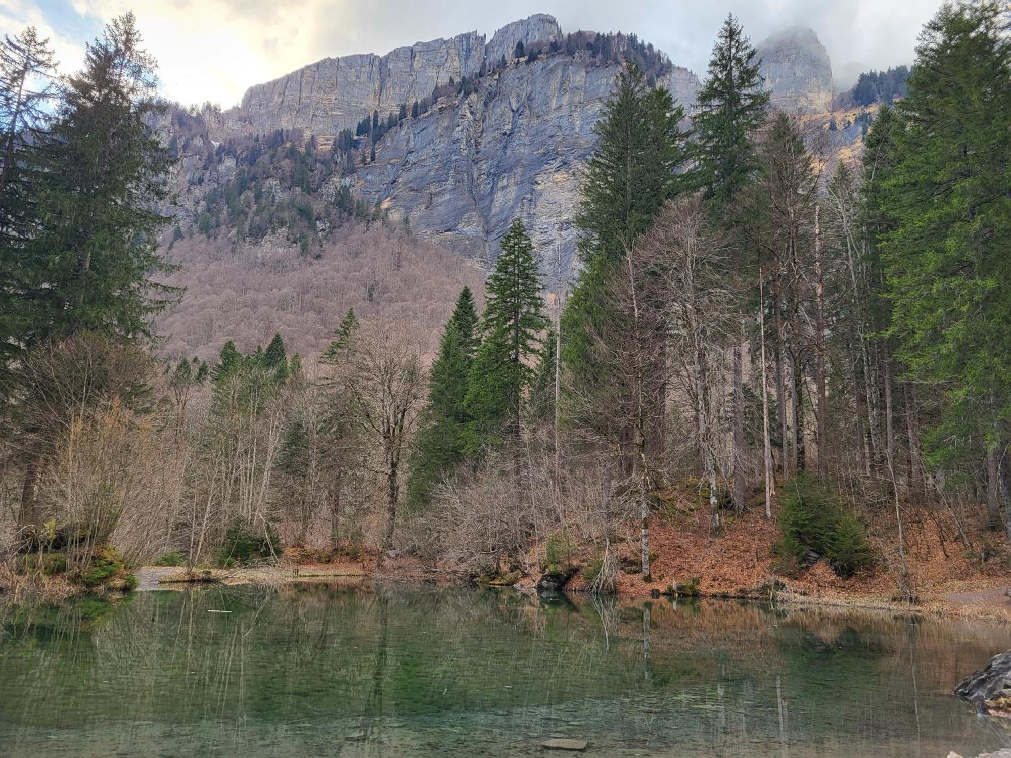 Appartement Cosy Face Aux Aravis ル・グラン・ボルナン エクステリア 写真